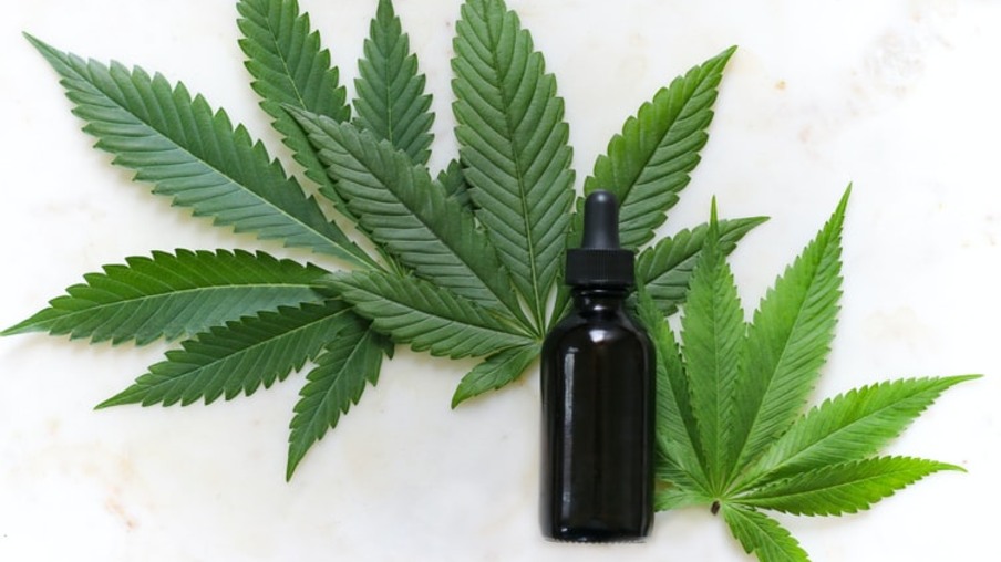 Pesquisa da Unila investiga uso de substâncias da Cannabis para tratamento de pacientes com Alzheimer