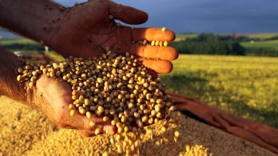Agronegócio, especialmente a safra de grãos, teve importante impacto positivo no PIB - Foto: ANPR