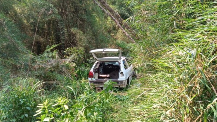 Mistério: corpos de três mulheres com marcas de tiros são encontrados em matagal no Paraná