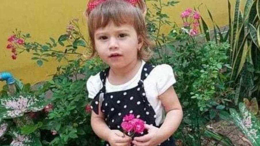 Menina de 2 anos morre após ser atingida por tanque de lavar roupa no Paraná