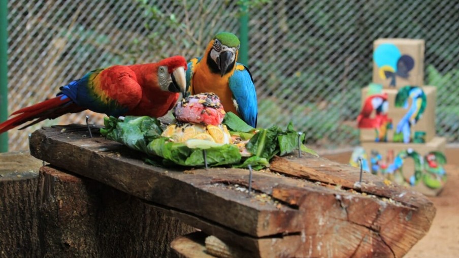 Zoo abriga 350 animais de 73 espécies diferentes - Foto: Secom