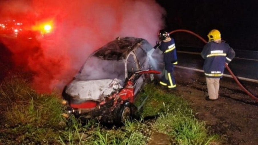 Capivara causa acidente com morte de motorista na rodovia PR-487