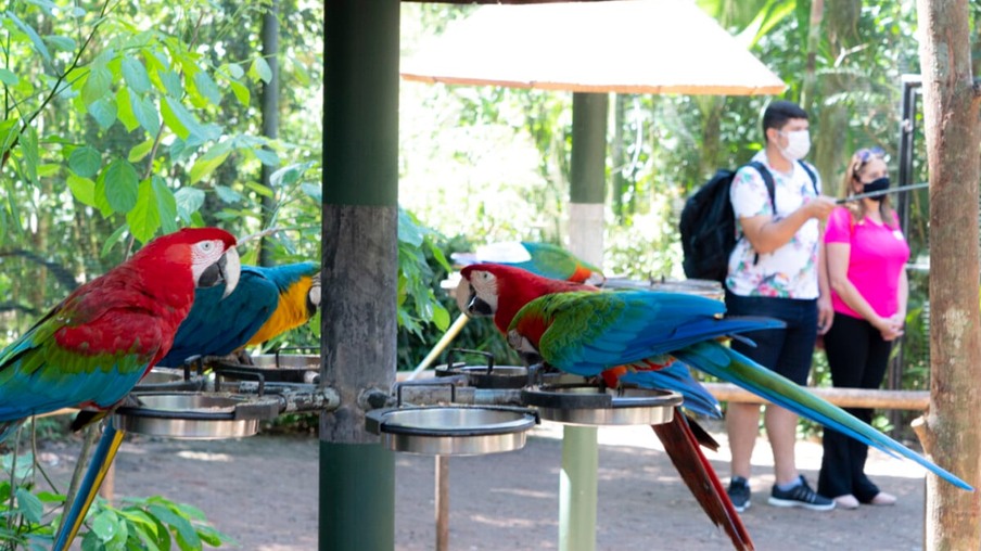 Parque das Aves faz reforma no Viveiro das Araras