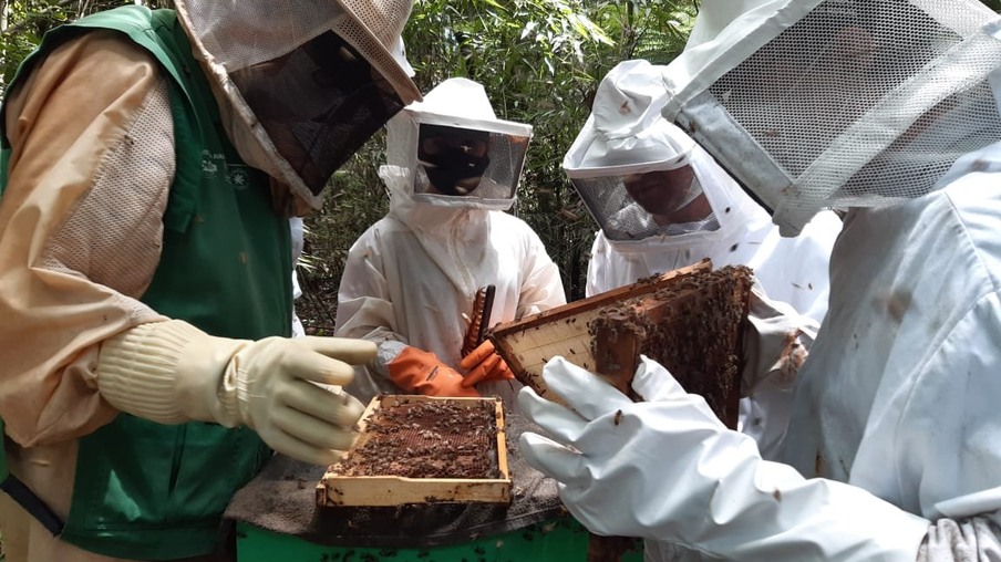 Curso de apicultura é o primeiro de 2021 na Agrotec