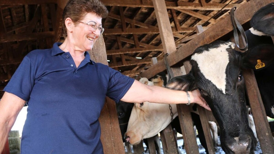 Município reforça programa de incentivo ao melhoramento genético do gado leiteiro