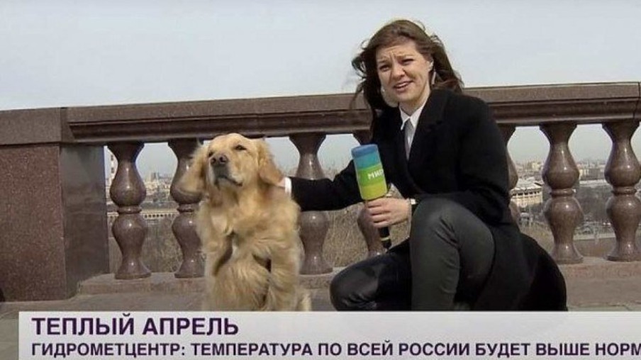 Cachorro rouba microfone de repórter ao vivo na Rússia. Veja o vídeo