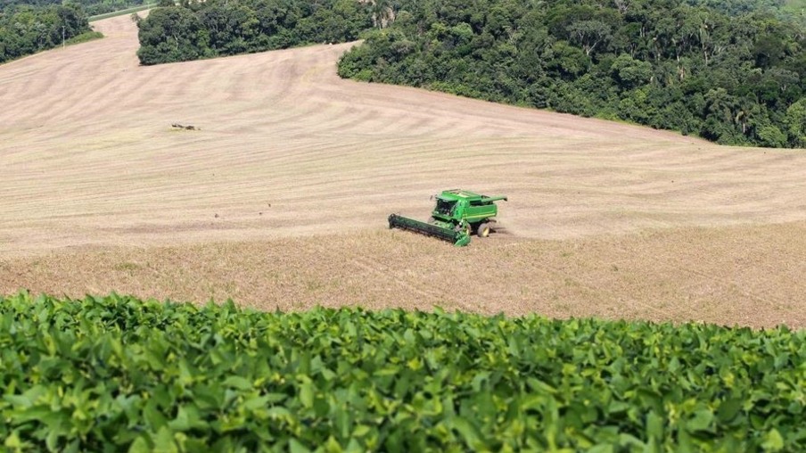 Boletim Agropecuário destaca início da colheita do feijão no Paraná