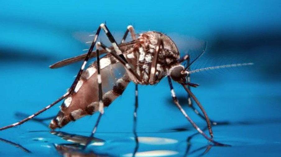 Paraná registra 1.407 novos casos e mais um óbito por dengue