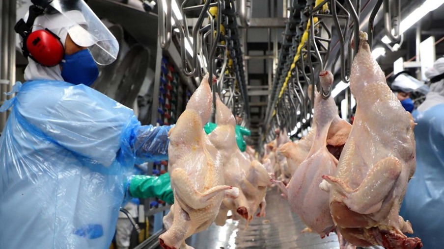 Paraná produziu 1,5 milhões de toneladas de carne no primeiro trimestre