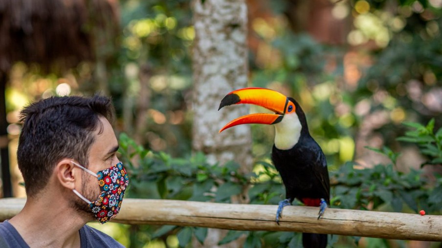 Parque das Aves recebe certificação nacional em bem-estar animal