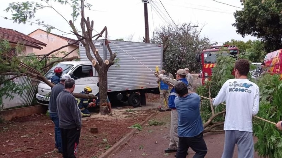 Veículo desgovernado atinge árvore e prensa motorista em Toledo