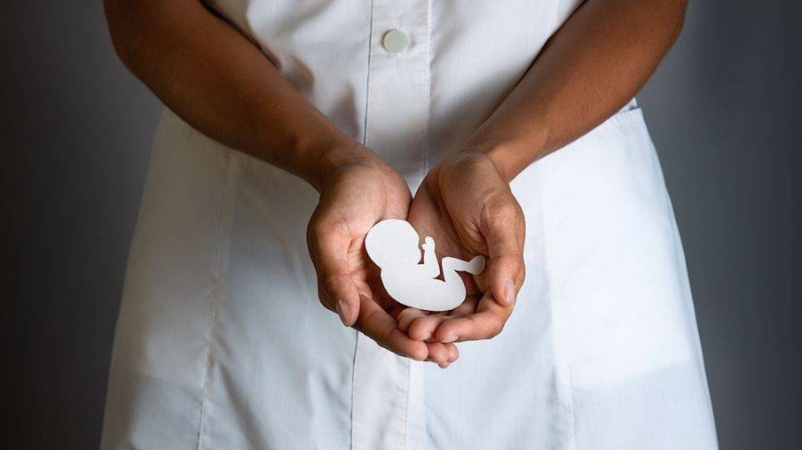 Pregnancy and abortion. The paper-cut silhouette of an embryo in the doctors female hands