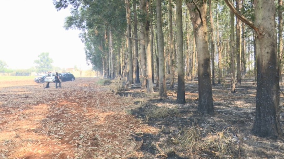 Corpo de mulher é encontrado carbonizado na área rural de Ibiporã