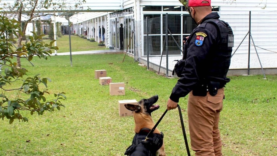 Cães de faro da PM passam por testes de faro de armas no Rio Grande do Sul