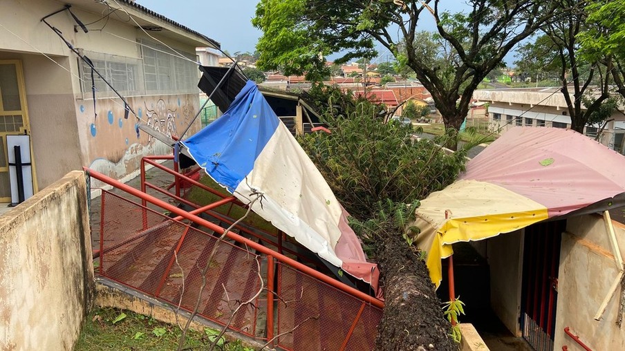 Temporal derruba árvores, destelha casas e deixa imóveis sem luz no Paraná