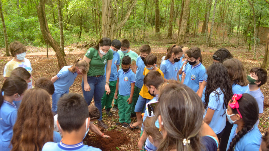 Governo de Catanduvas realiza atividades em comemoração ao Dia da Árvore