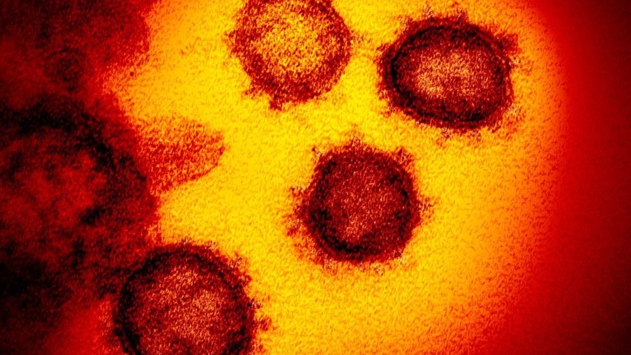 Foz registra 08 novos casos de Coronavírus em 24 horas