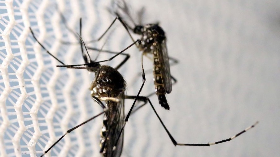 Agentes de endemias saem às ruas contra o “mosquito da dengue”