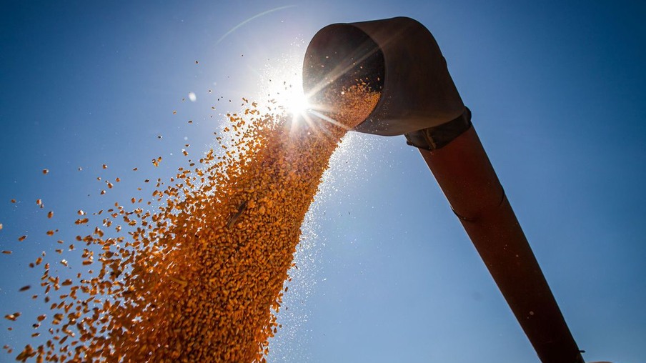Conab: safra de grãos pode chegar a 291,1 milhões de toneladas