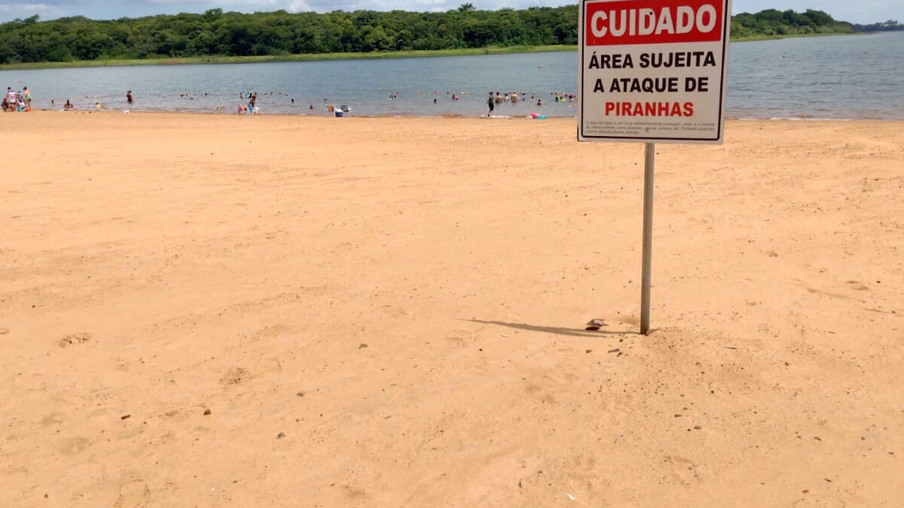 Corpo de Bombeiros alerta para risco de ataques de piranhas nas praias de águas doces do Oeste - 17/01/2022