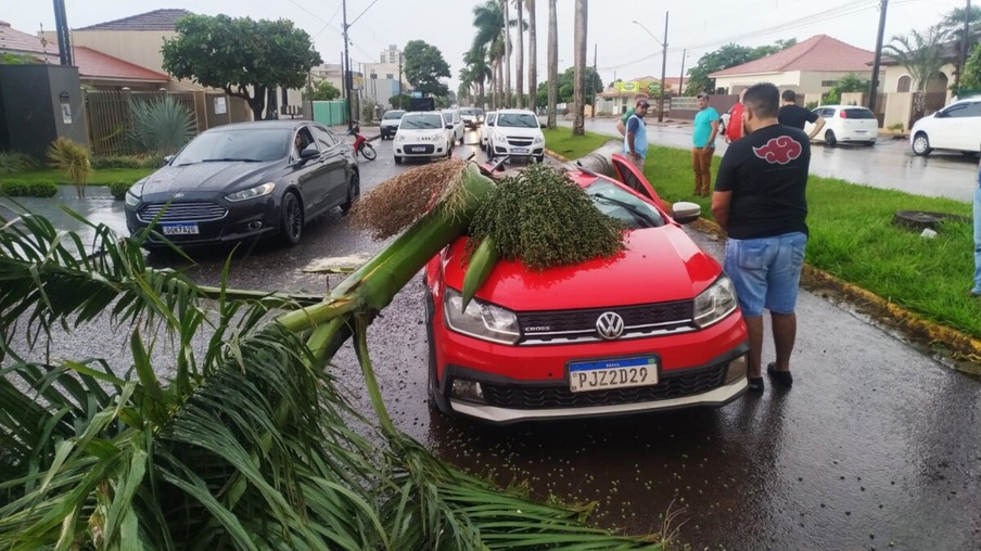 Coqueiro cai em cima de carro em Assis Chateubriand