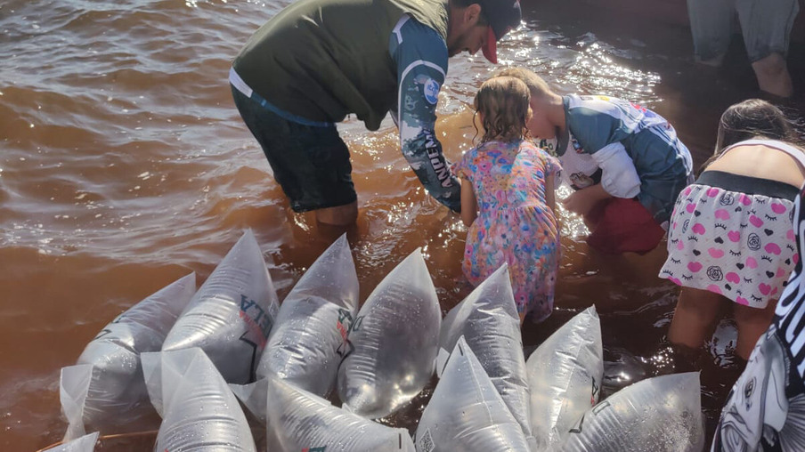 Em apoio a Desafio de Pesca, Governo promove soltura de 105 mil peixes nativos no Rio Paraná