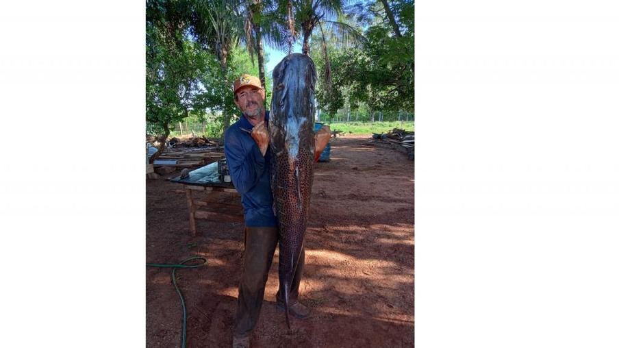 Pescador profissional de Terra Roxa fisga pintado de 45kg