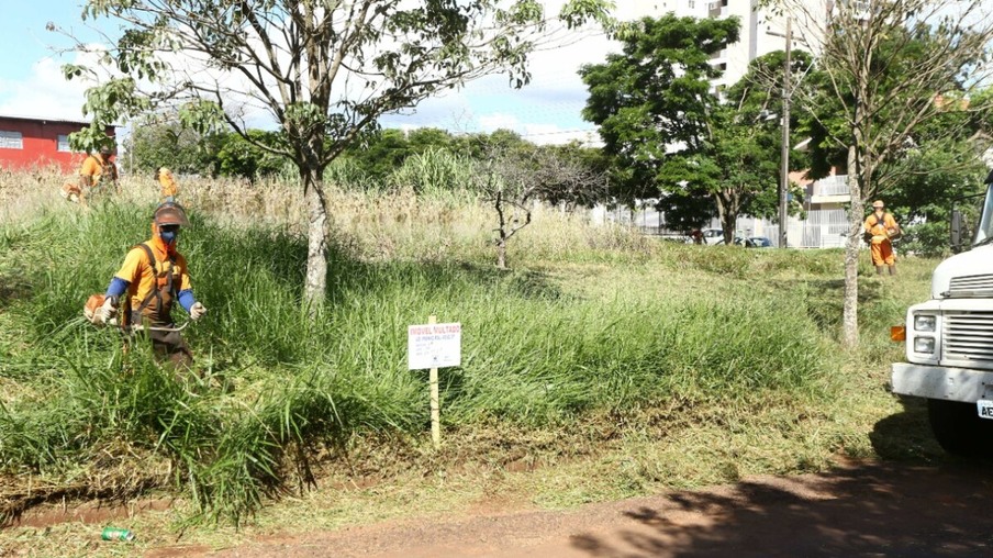 ‘Sugismundo’: Cascavel vai dobrar multas para terreno com o mato alto