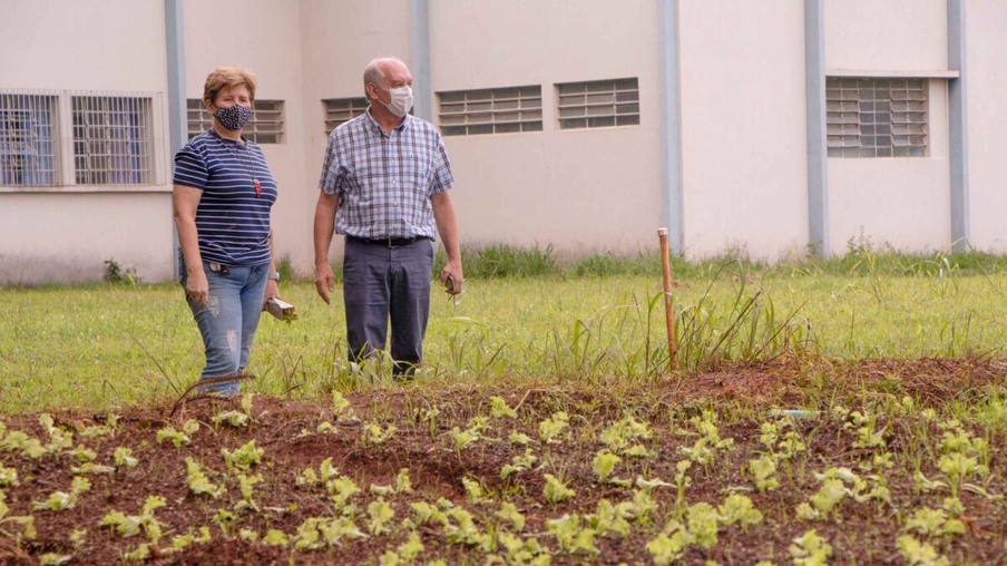Em parceria com colégio agrícola, hospital da UEPG troca resíduos orgânicos por ervas para chás