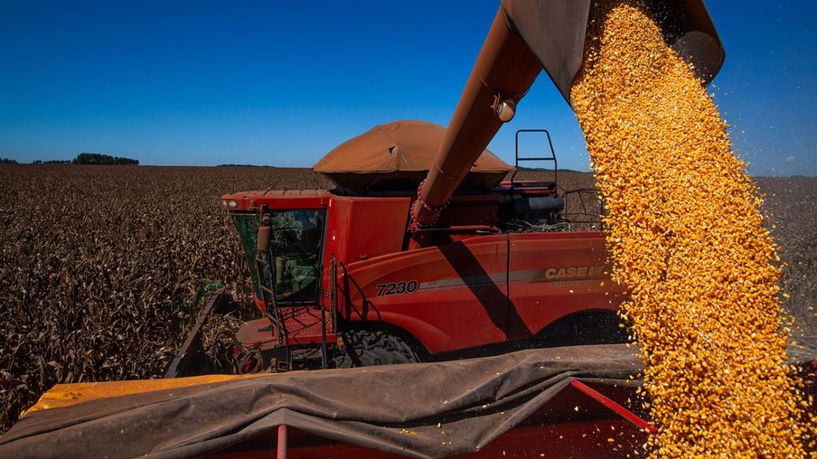 IBGE reduz previsão, mas Brasil deve ter safra recorde de grãos