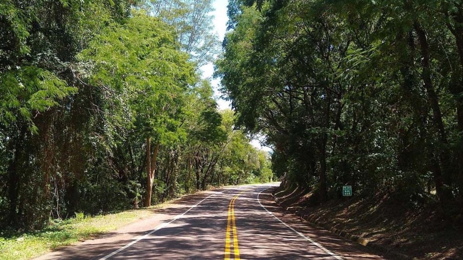 Programa de segurança viária do DER/PR executou nova sinalização horizontal e instalação de tachas refletivas na PR-317, em trecho de 60,9 quilômetros.  -  Curitiba, 28/04/2022