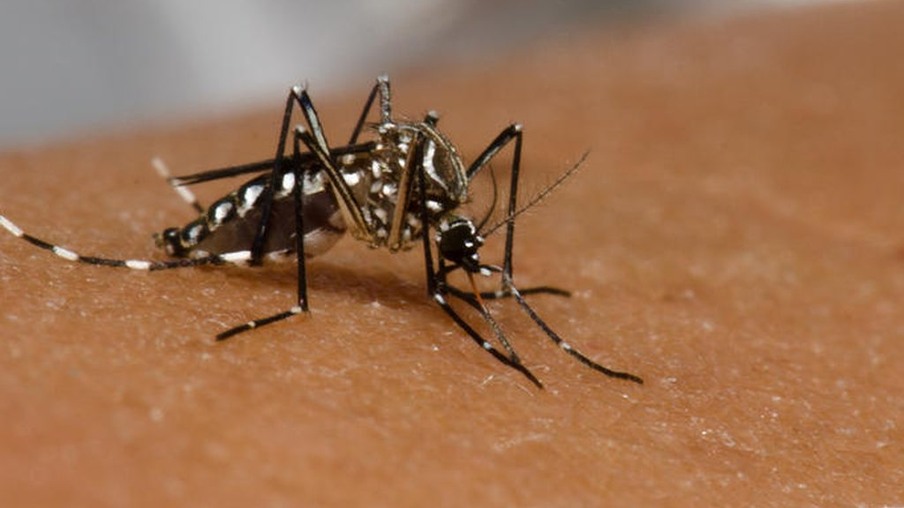 Cascavel confirma o 3º óbito por dengue e mais 243 casos