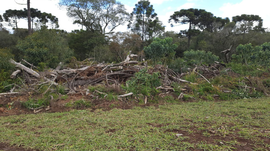 Fiscalização do IAT identifica 336 hectares de desmatamento e resulta em multas de R$2,33 milhões -