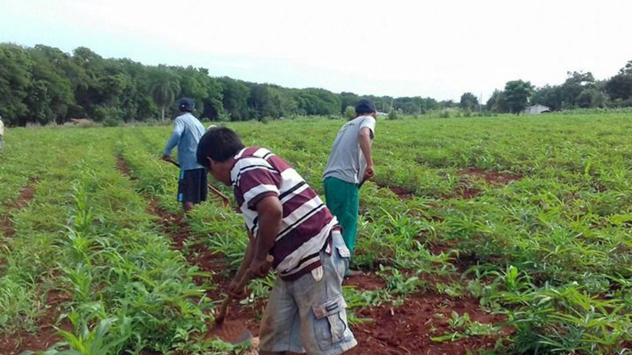 Programa Renda Agricultor Familiar está entre finalistas do Prêmio Estratégia ODS Brasil