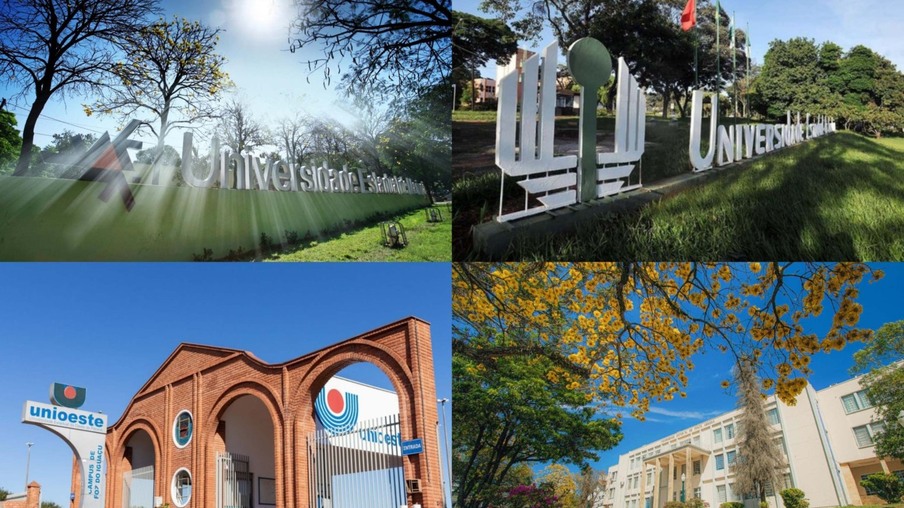 As universidades estaduais de Maringá (UEM), Londrina (UEL), Ponta Grossa (UEPG) e do Oeste do Paraná (Unioeste) estão entre as principais instituições de ensino superior do mundo, em relação ao desenvolvimento sustentável.