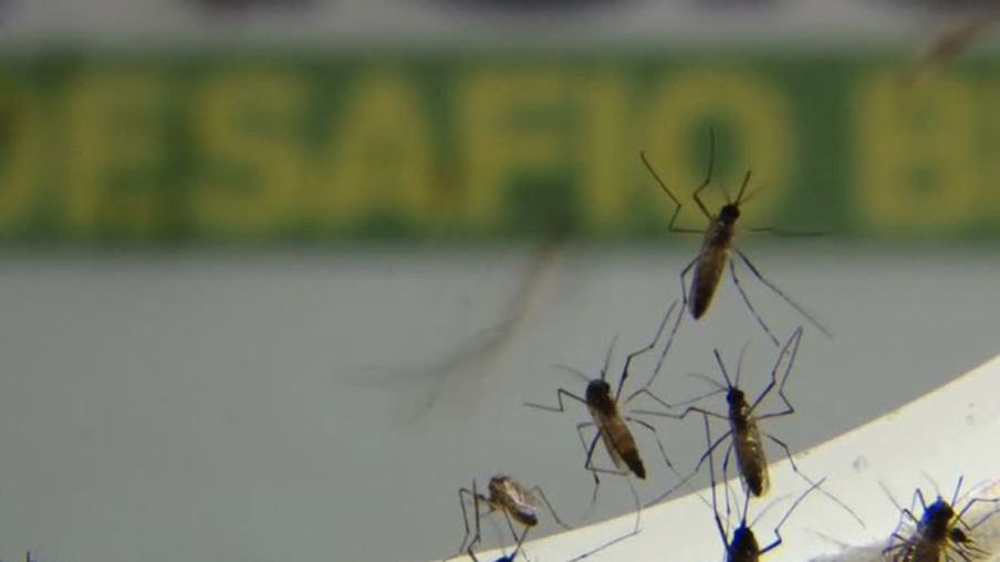 Cascavel tem mais duas mortes e 777 novos casos de dengue
