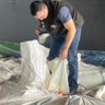 Montante que estava armazenado em duas carretas equivale a cerca de 10.400 pacotes de 5kg de farinha de trigo. Foto Delegacia Sindical dos Affas no Paraná
