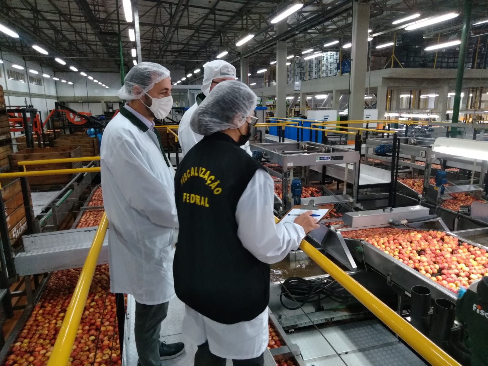 Semana pode ser decisiva para a fiscalização de produtos agropecuários no Paraná