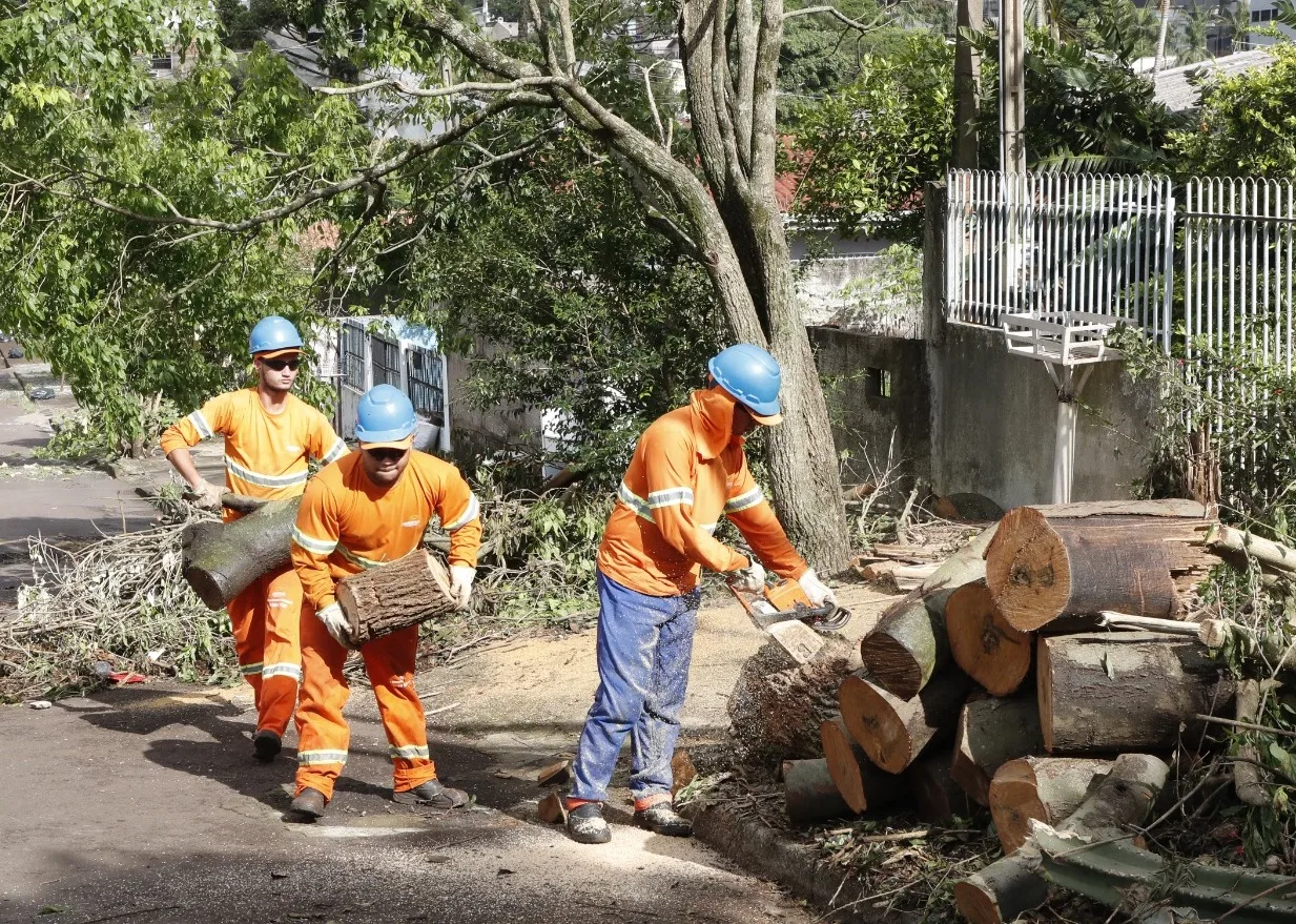 A nova lei em Cascavel permite que moradores contratem empresas para serviços de arborização e manutenção de árvores - Foto: Secom A nova lei em Cascavel permite que moradores contratem empresas para serviços de arborização e manutenção de árvores - Foto: Secom